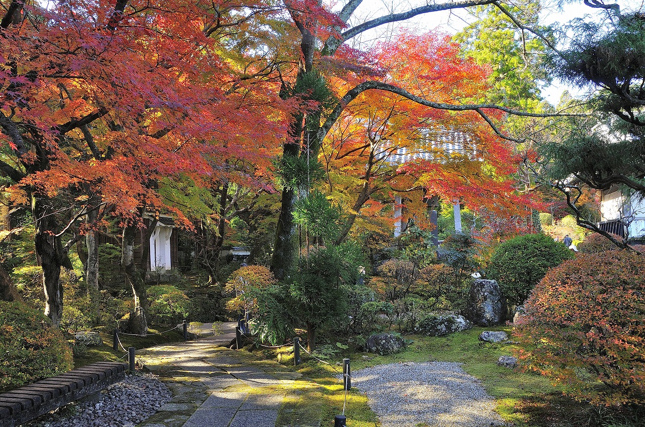 仏像愛好研究家と巡る　直虎ゆかりの龍潭寺と井伊谷宮